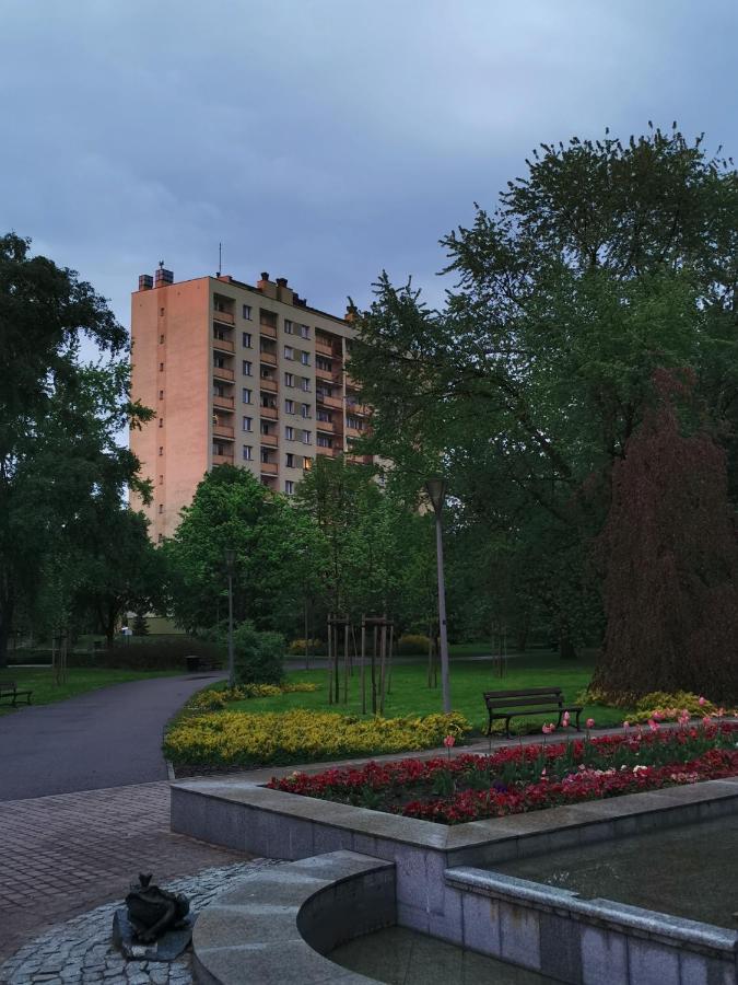 Apartament D&T City Center View Жешув Экстерьер фото